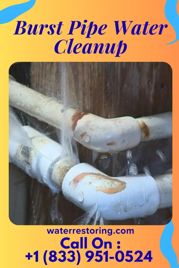 Burst Pipe Water Cleanup in Sunland Park, NM