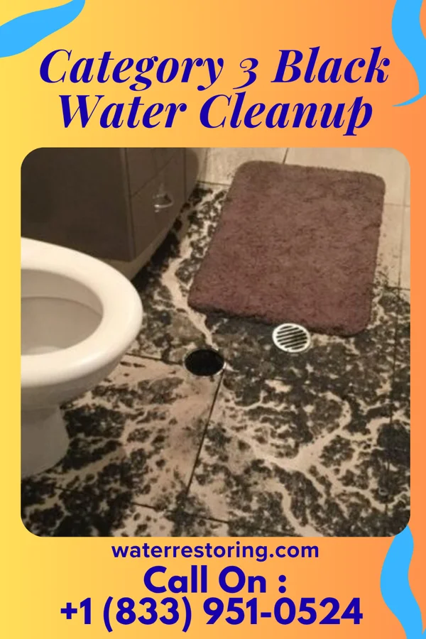 Category 3 Black Water Cleanup in Sunland Park, NM