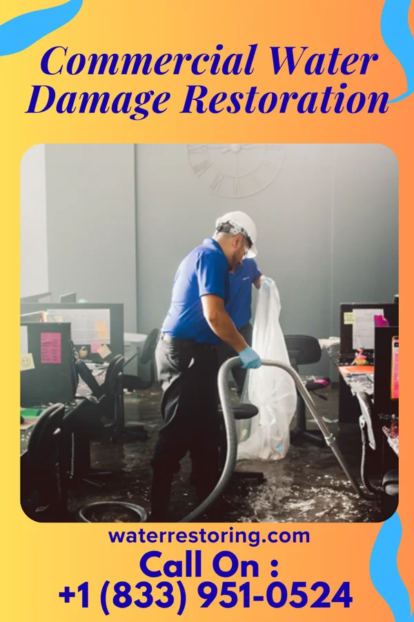 Commercial Water Damage Restoration in Sunland Park, NM