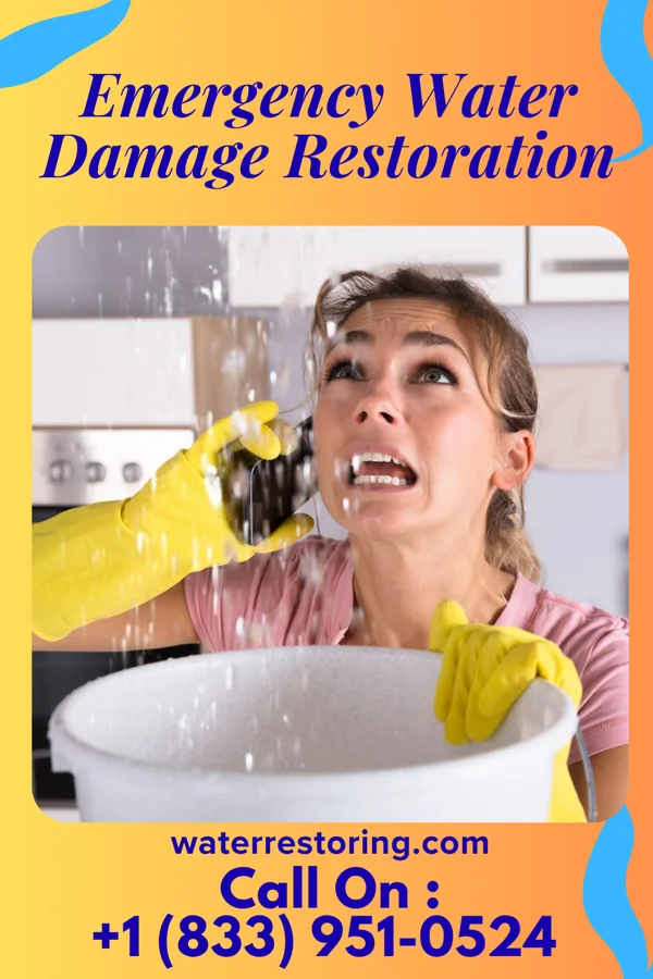Emergency Water Damage Restoration in Sunland Park, NM